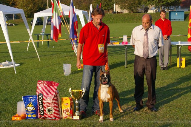 www.boxer-show.eu